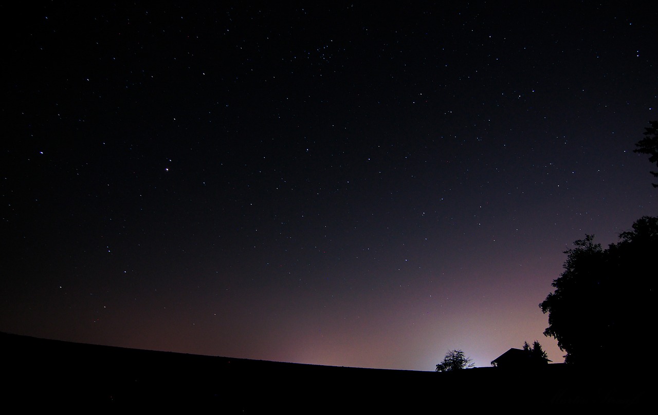 Free Night Forest photo and picture